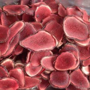 Nhung Hươu Hương Sơn Tươi