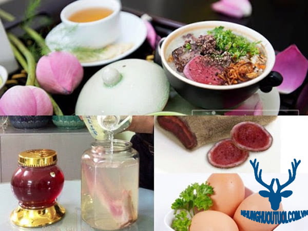 Công dụng và Cách dùng nhung hươu nấu cháo tốt nhất cho sức khỏe